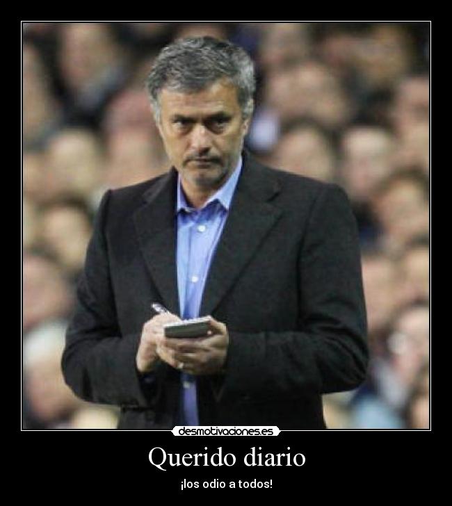 Querido diario - ¡los odio a todos!