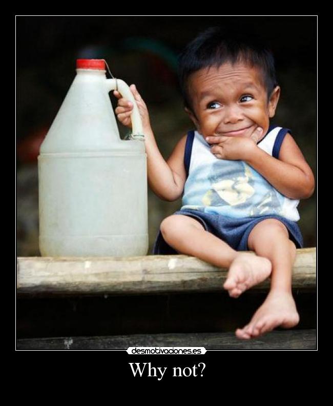 carteles whynot desmotivaciones