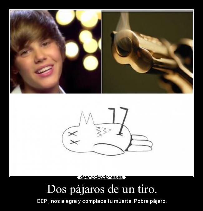 Dos pájaros de un tiro. -