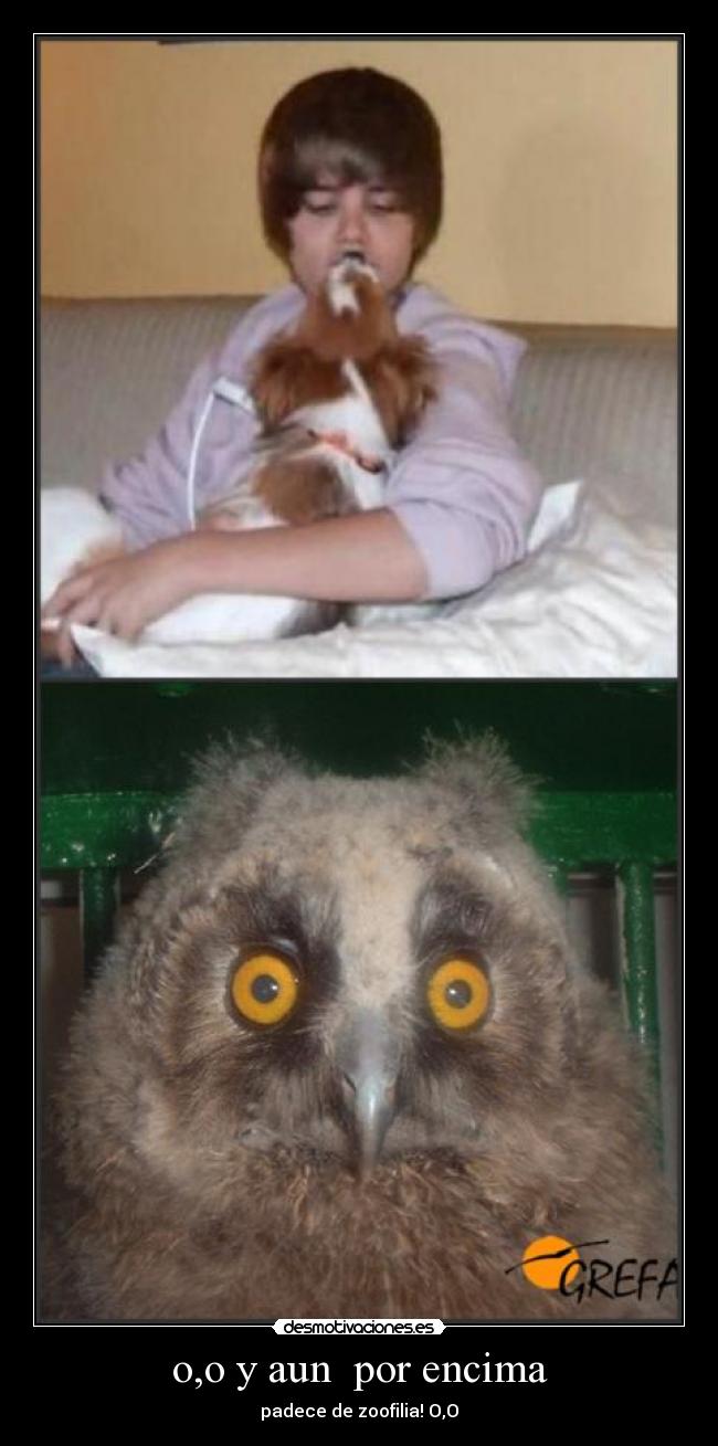 carteles desmotivaciones