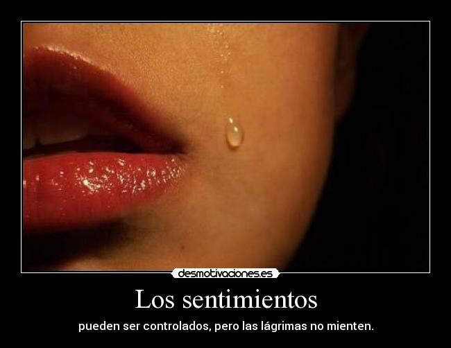 Los sentimientos - 