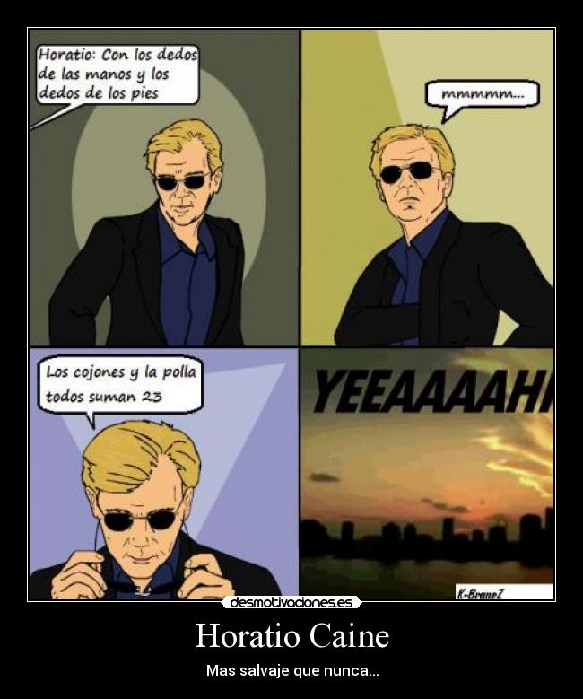 carteles horatio caine salvaje desmotivaciones