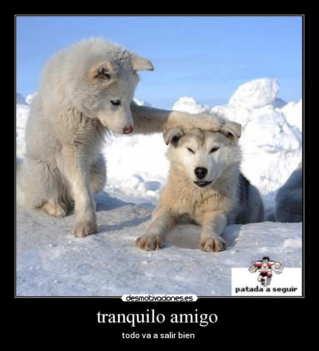 tranquilo amigo -