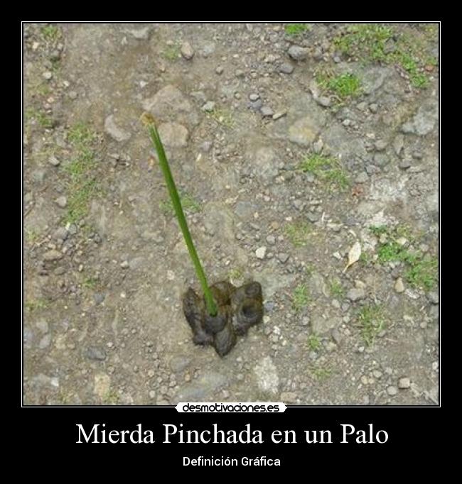Mierda Pinchada en un Palo - 