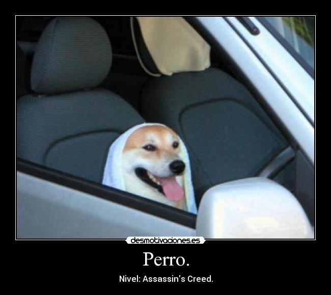 Perro. - Nivel: Assassins Creed.