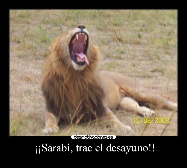 carteles leon desmotivaciones