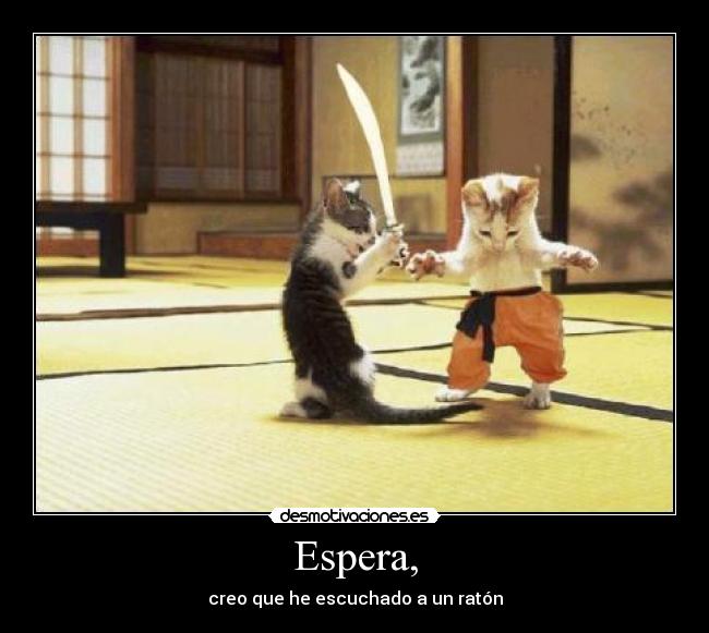 Espera, - creo que he escuchado a un ratón