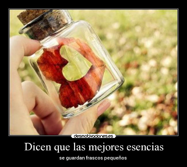 Dicen que las mejores esencias -