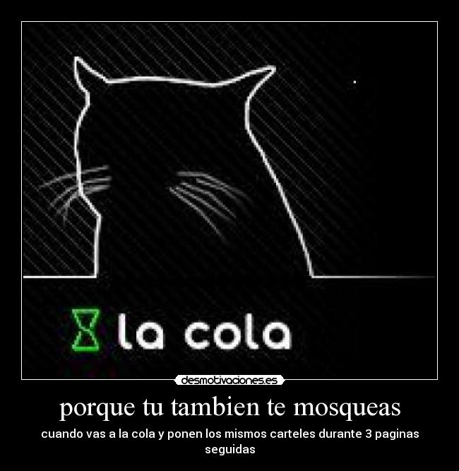 porque tu tambien te mosqueas -