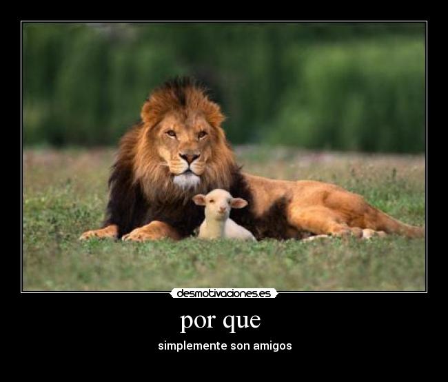 por que - simplemente son amigos