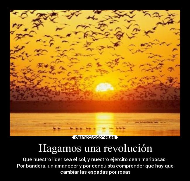 Hagamos una revolución -