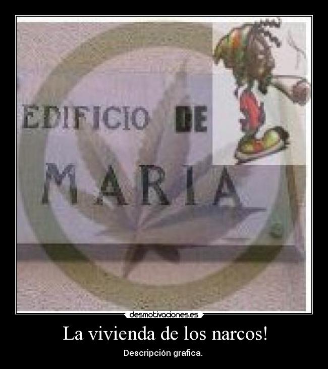 La vivienda de los narcos! - 