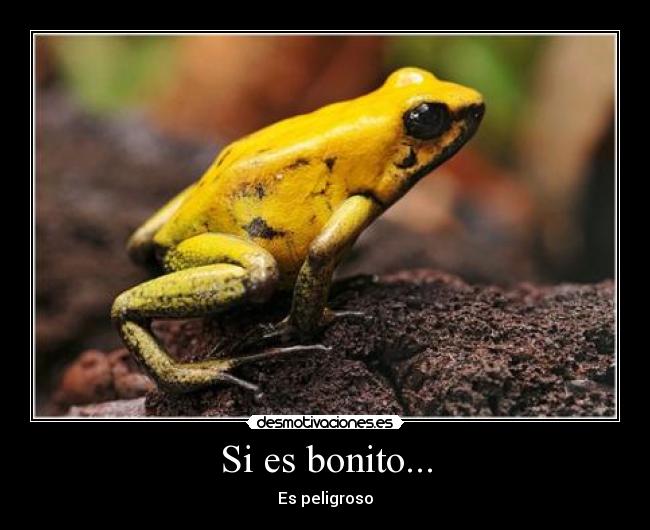 Si es bonito... -