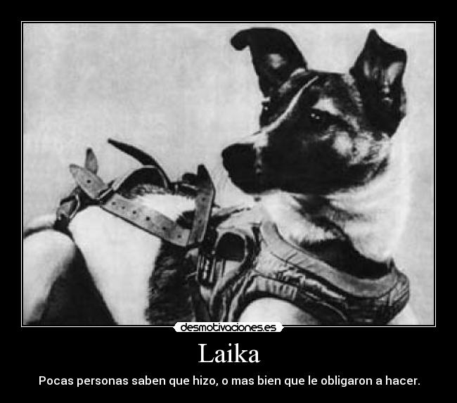 Laika - Pocas personas saben que hizo, o mas bien que le obligaron a hacer.