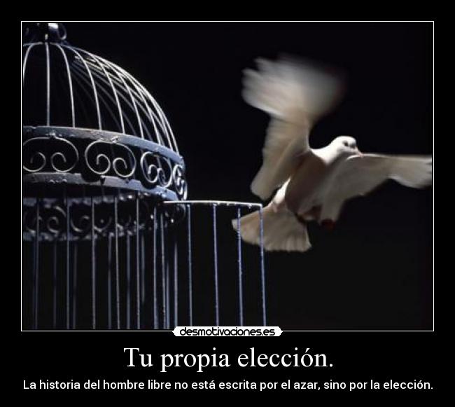 Tu propia elección. - La historia del hombre libre no está escrita por el azar, sino por la elección.