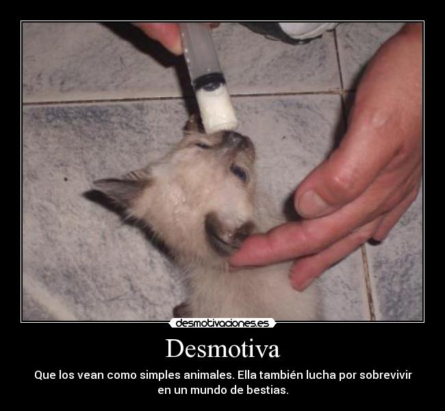 Desmotiva - Que los vean como simples animales. Ella también lucha por sobrevivir
en un mundo de bestias.