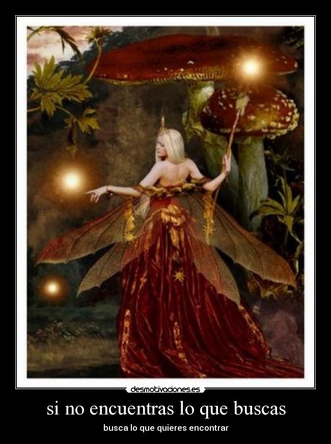 si no encuentras lo que buscas - busca lo que quieres encontrar