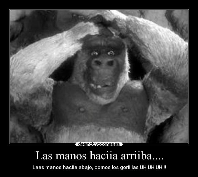 Las manos haciia arriiba.... -