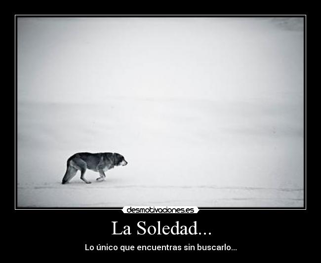La Soledad... - Lo único que encuentras sin buscarlo...