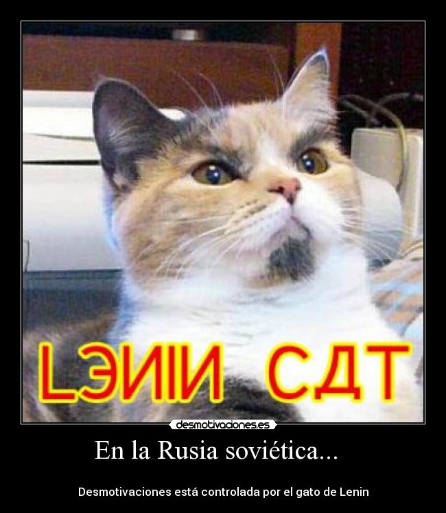 En la Rusia soviética... -