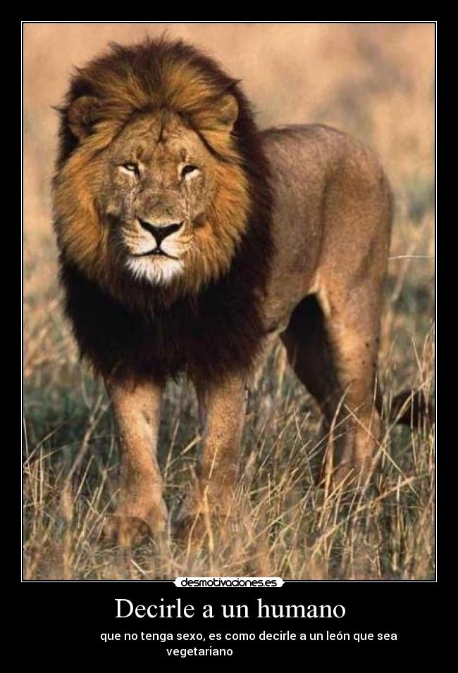 Decirle a un humano -