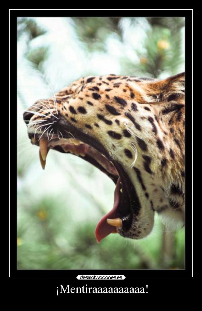 ¡Mentiraaaaaaaaaa! -