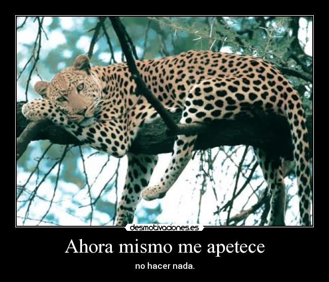 Ahora mismo me apetece -