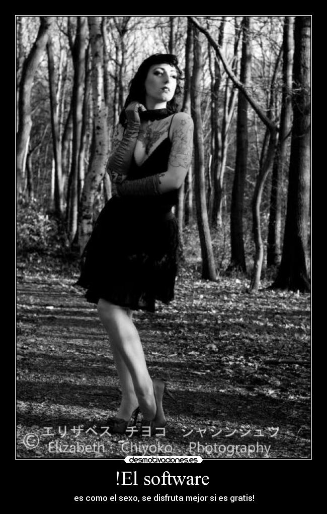 !El software  - es como el sexo, se disfruta mejor si es gratis!