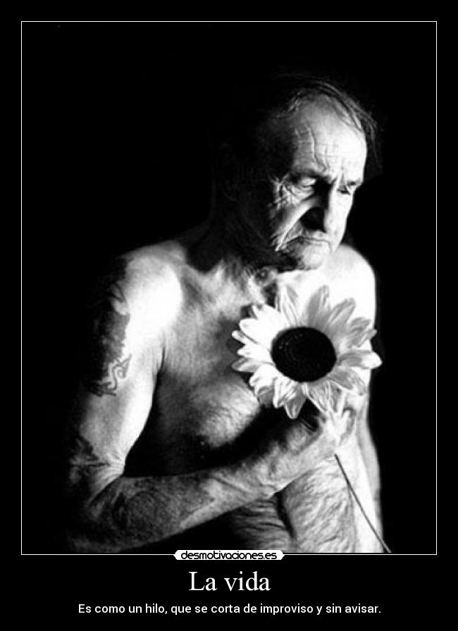 La vida - 