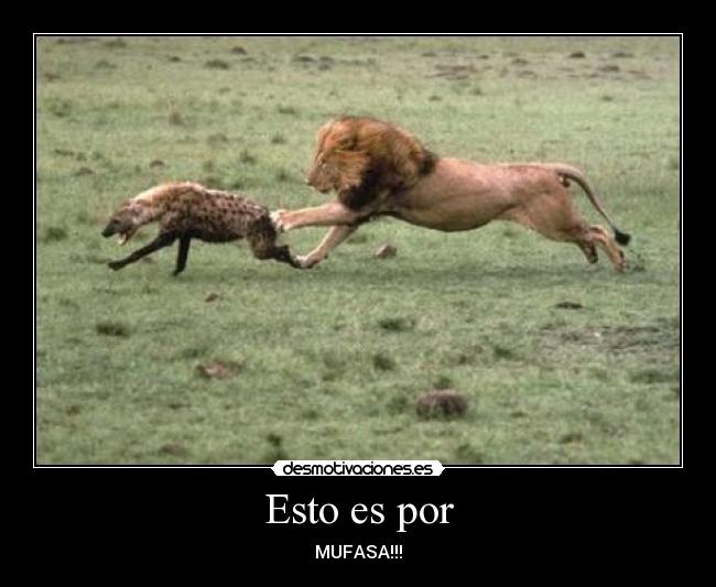 Esto es por - MUFASA!!!