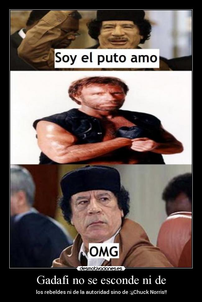Gadafi no se esconde ni de - los rebeldes ni de la autoridad sino de :¡¡Chuck Norris!!