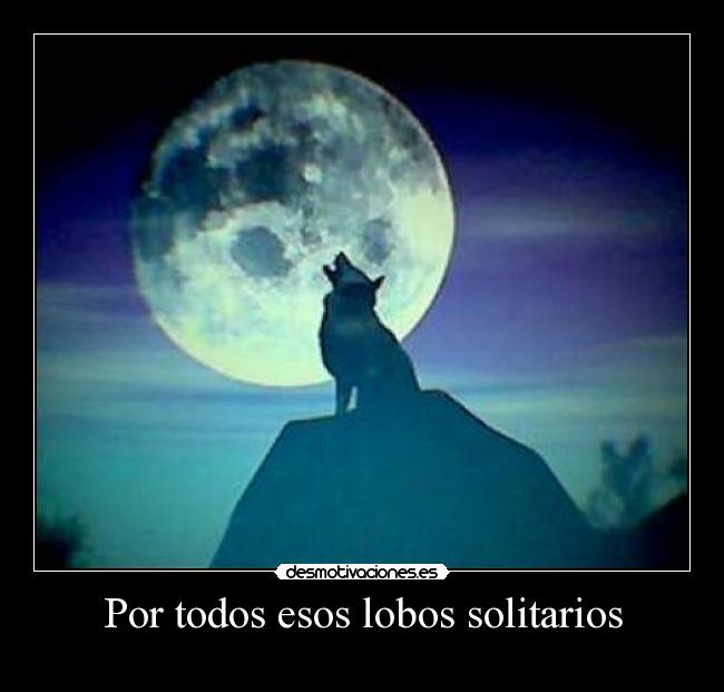 Por todos esos lobos solitarios -