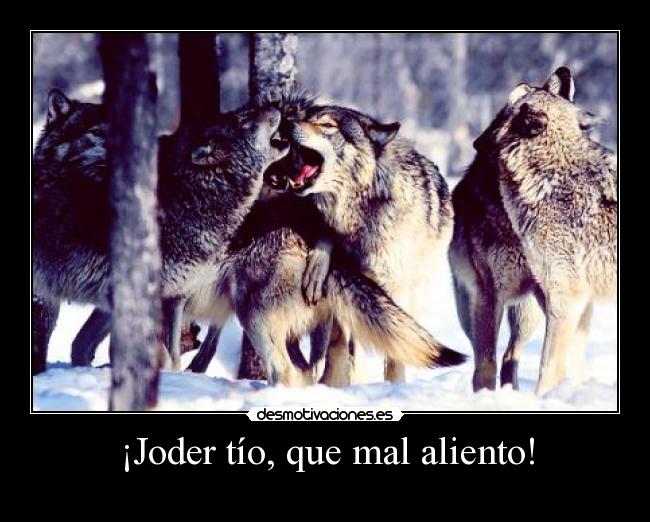 ¡Joder tío, que mal aliento! -