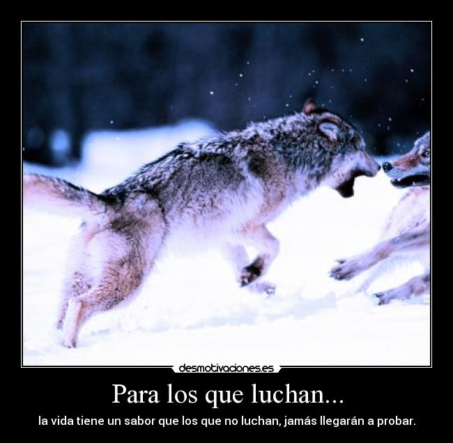 Para los que luchan... -