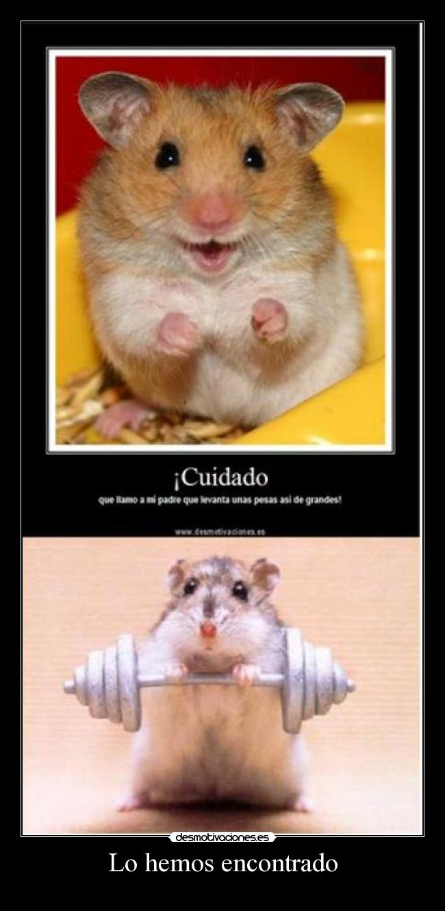 Lo hemos encontrado -