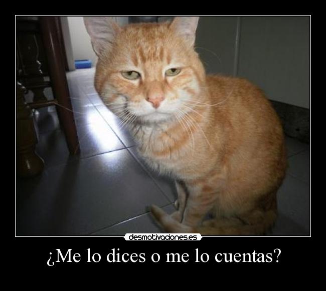 ¿Me lo dices o me lo cuentas? -