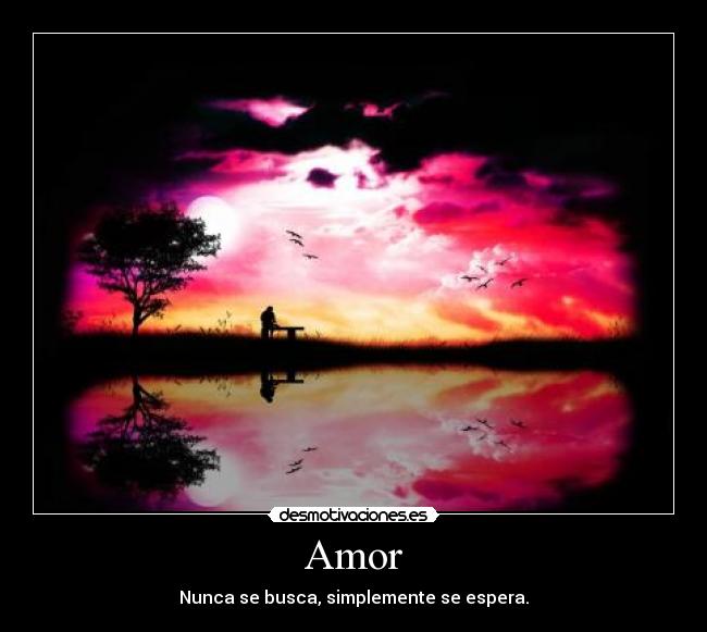 Amor - Nunca se busca, simplemente se espera.