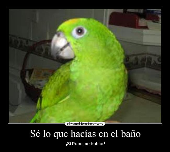 Sé lo que hacías en el baño - ¡Sí Paco, se hablar!