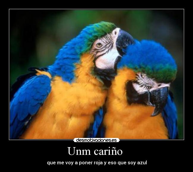 Unm cariño  - que me voy a poner roja y eso que soy azul