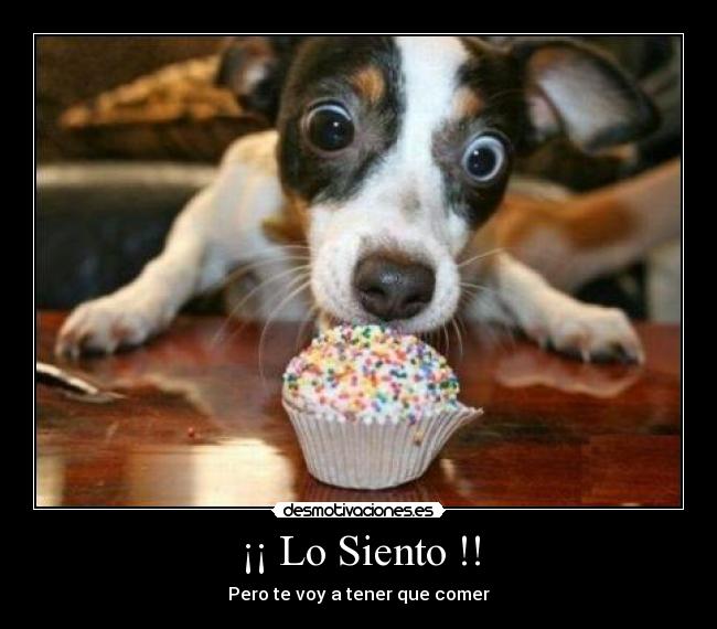 ¡¡ Lo Siento !! - 