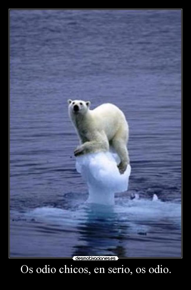 Os odio chicos, en serio, os odio. - 