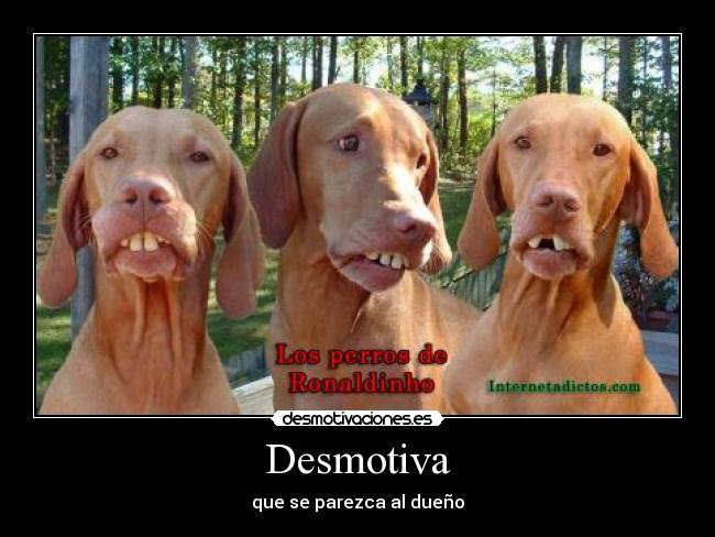 Desmotiva - 