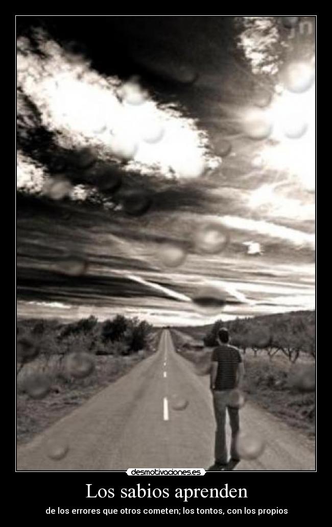 carteles alex23 errores sabios desmotivaciones