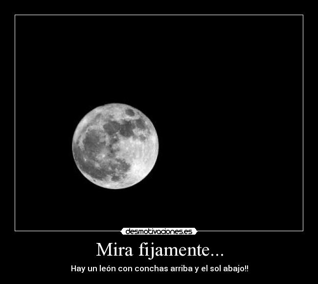 Mira fijamente... - Hay un león con conchas arriba y el sol abajo!!