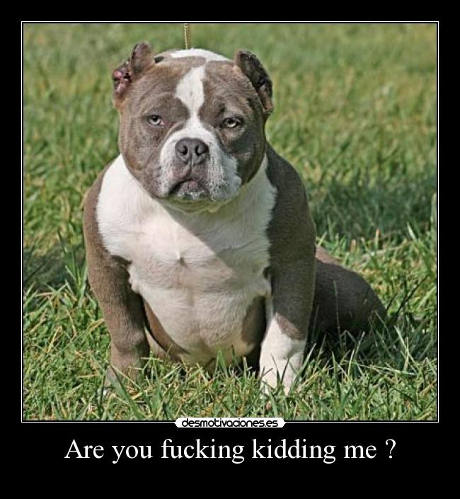 carteles are you fucking kidding desmotivaciones