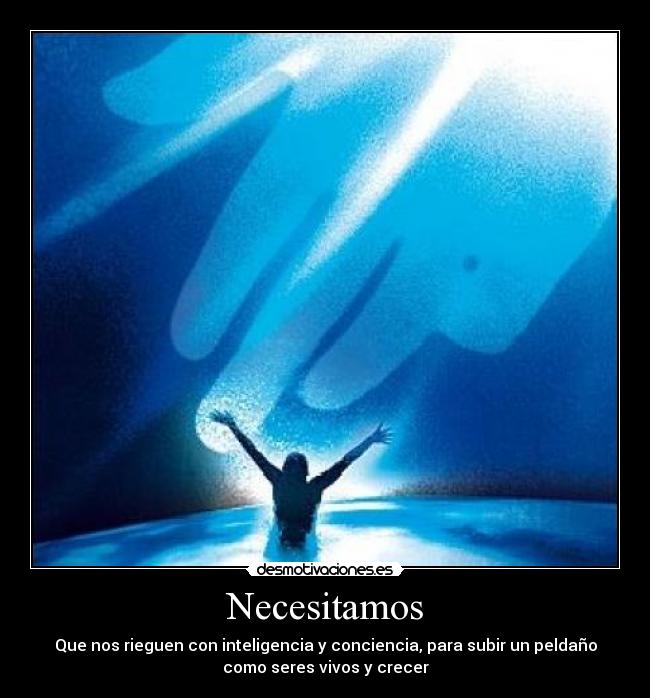 Necesitamos -