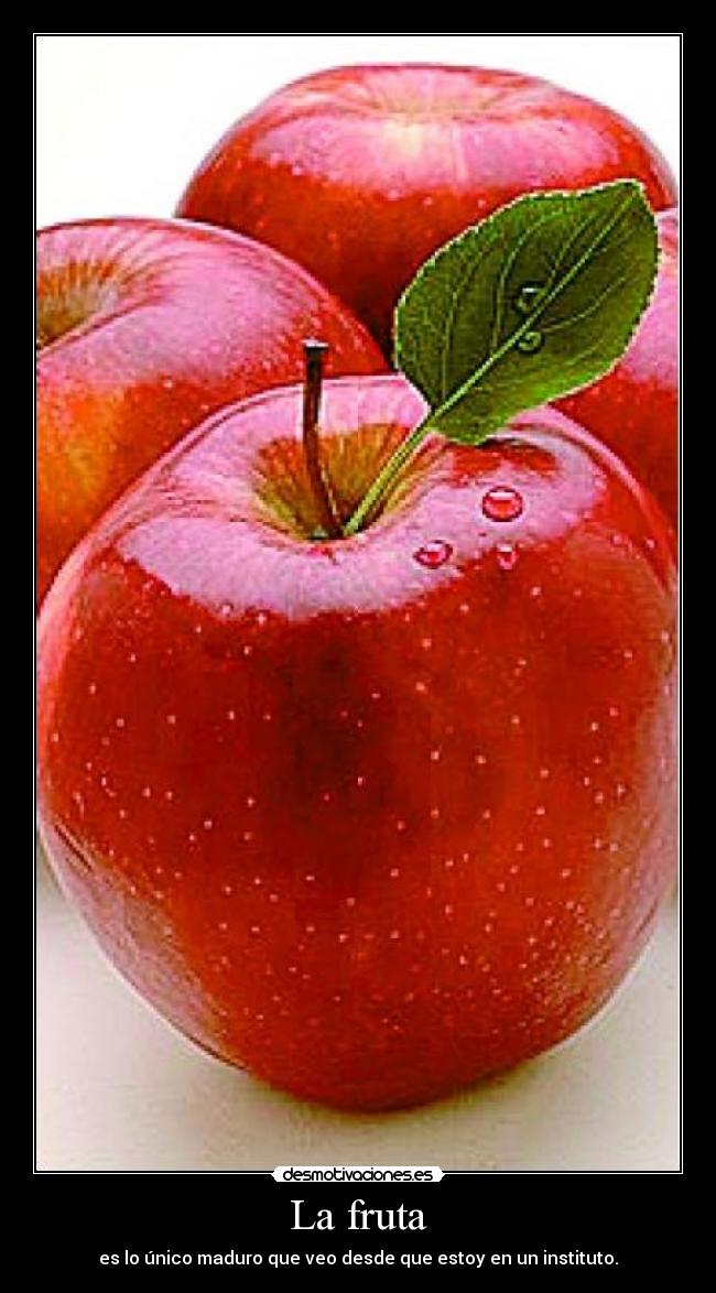 La fruta - es lo único maduro que veo desde que estoy en un instituto.