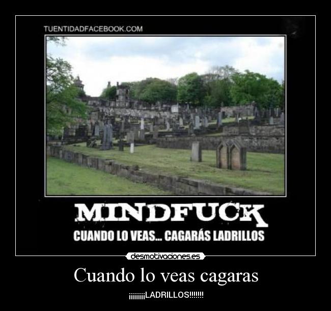 Cuando lo veas cagaras - ¡¡¡¡¡¡¡¡LADRILLOS!!!!!!!