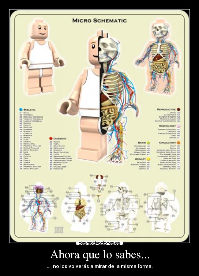 Ahora que lo sabes... -