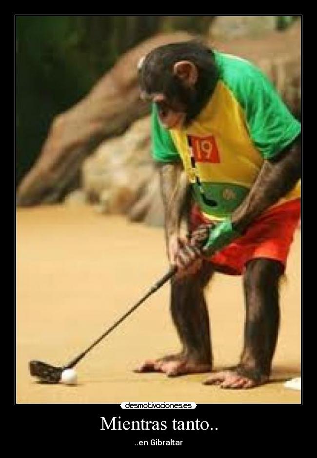 Mientras tanto.. - ..en Gibraltar